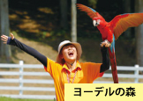 体験